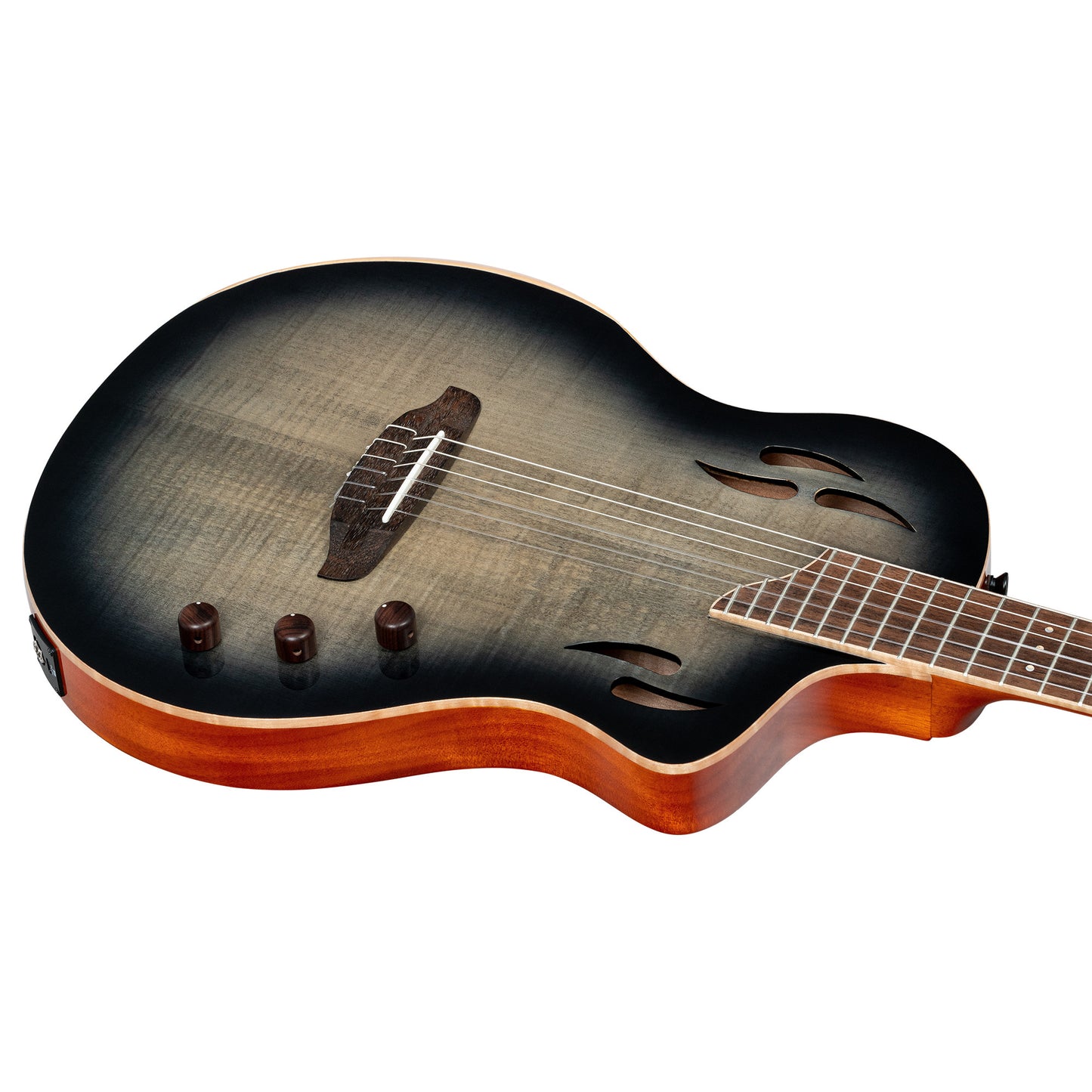 Ortega TourPlayer - RTPG-LS1