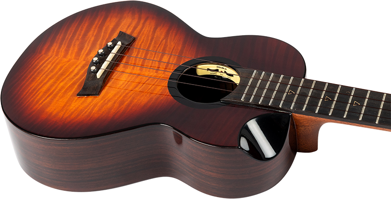 Navigator EQ-A Tenorukulele