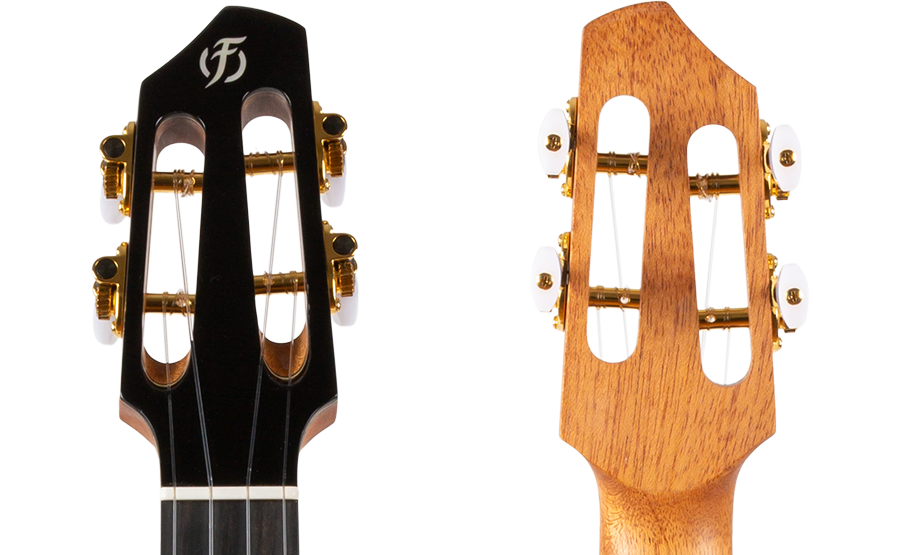 A10 SC Cocobolo Dragon - Tenorukulele