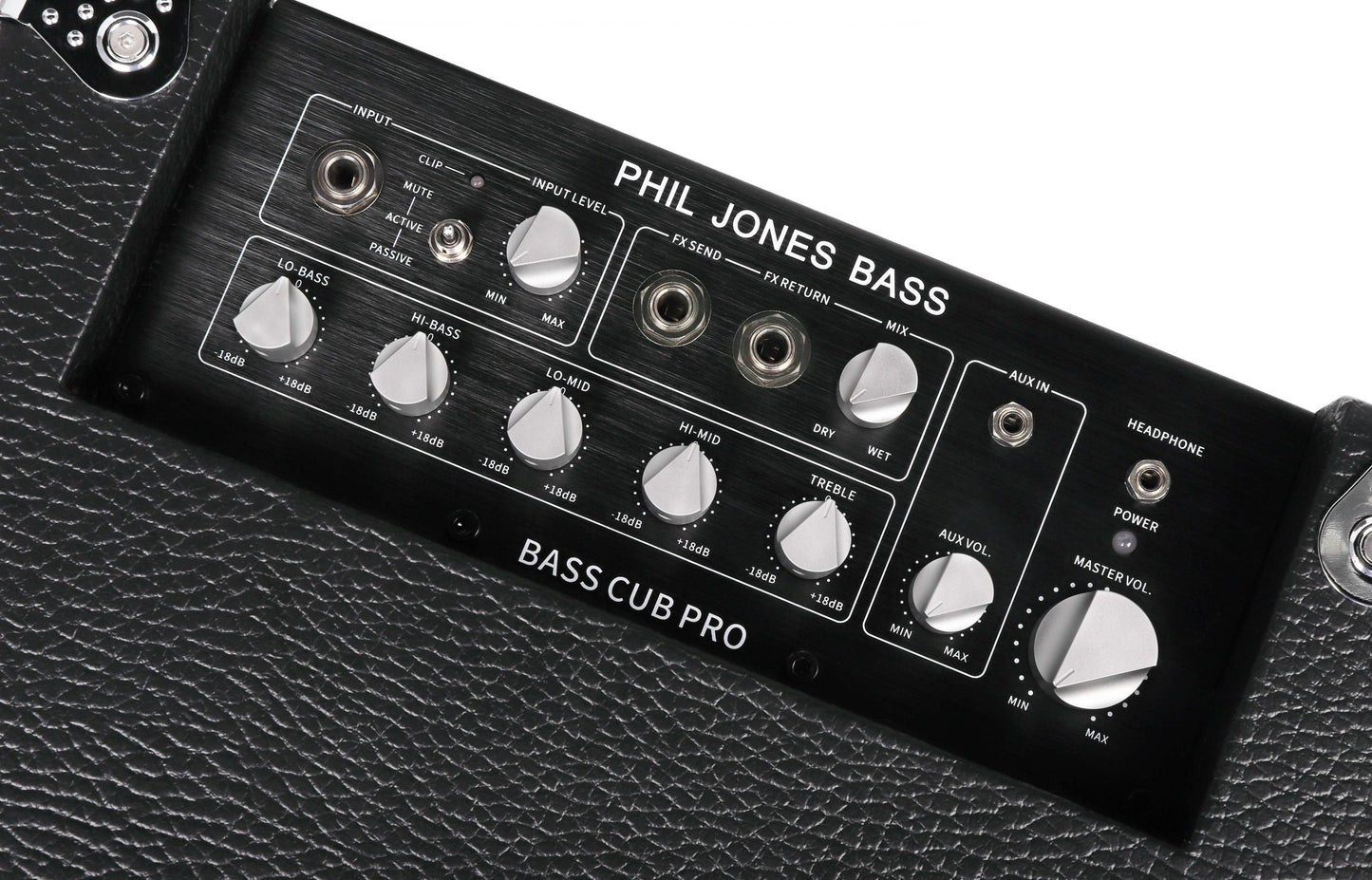 Bass Cub Pro - Bascombo, 120 Watt