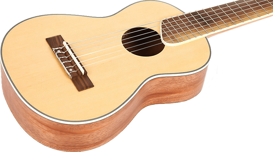 Flygning GUT350 SP/SAP Guitarlele