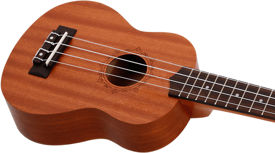 NUS310 Sopranukulele