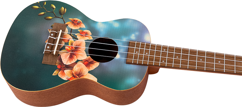 Orchid - Konsertukulele