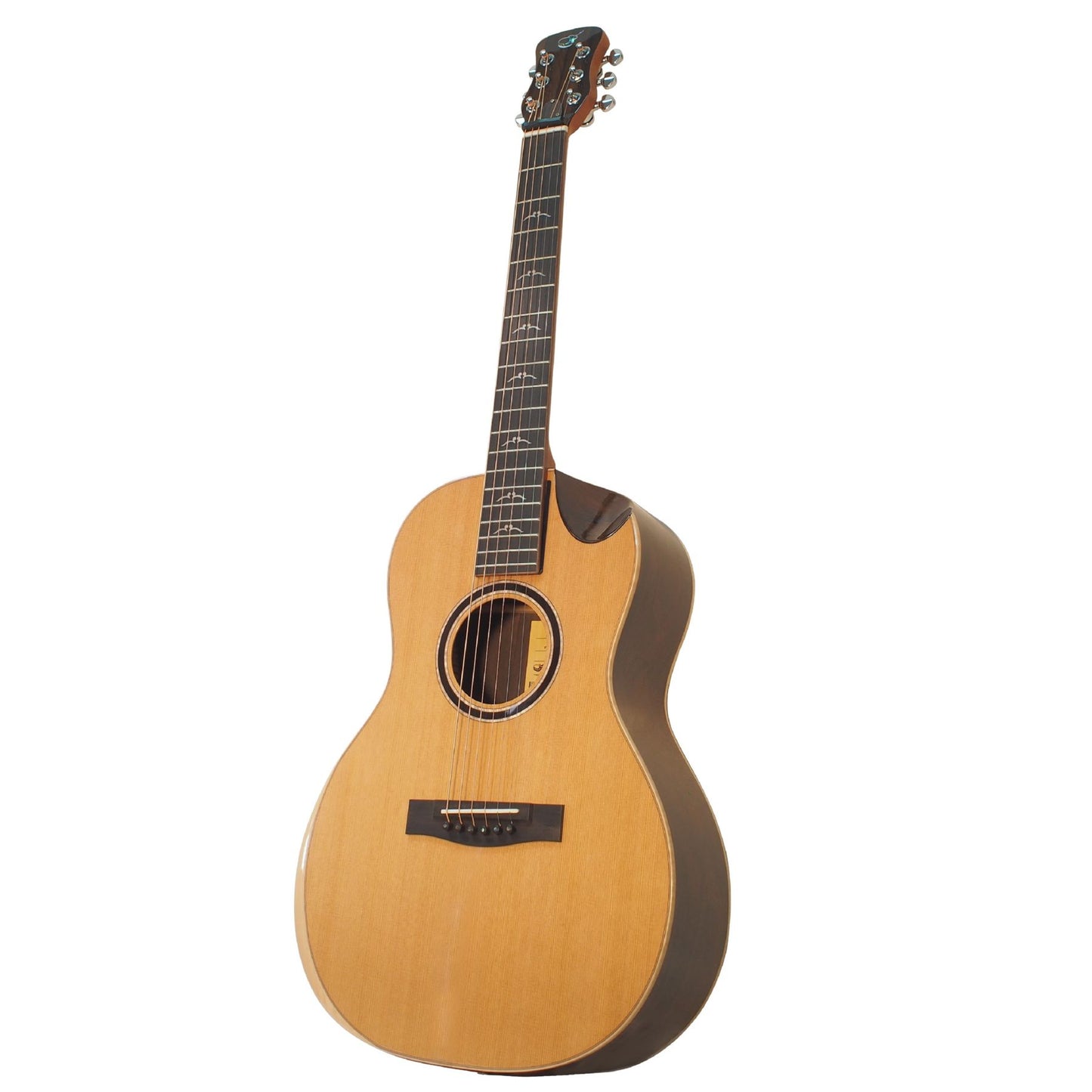 Journey Instruments FP59213LTD2 First Class – Limited Edition resgitarr i Redwood och Koa
