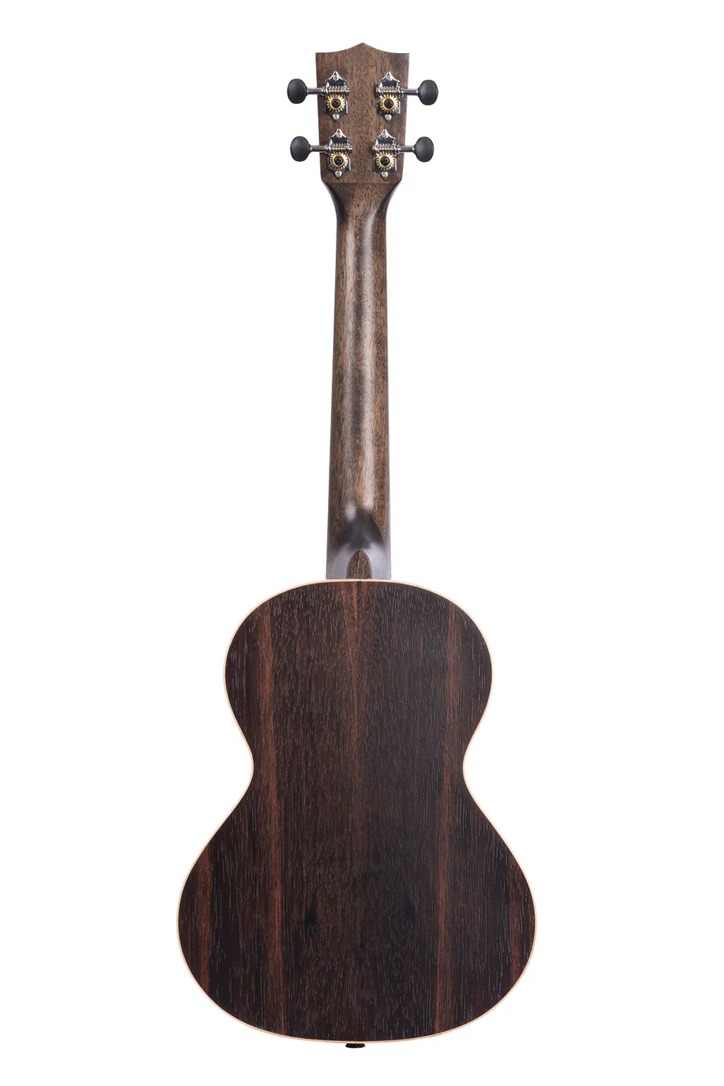 Randig ebenholz tenor