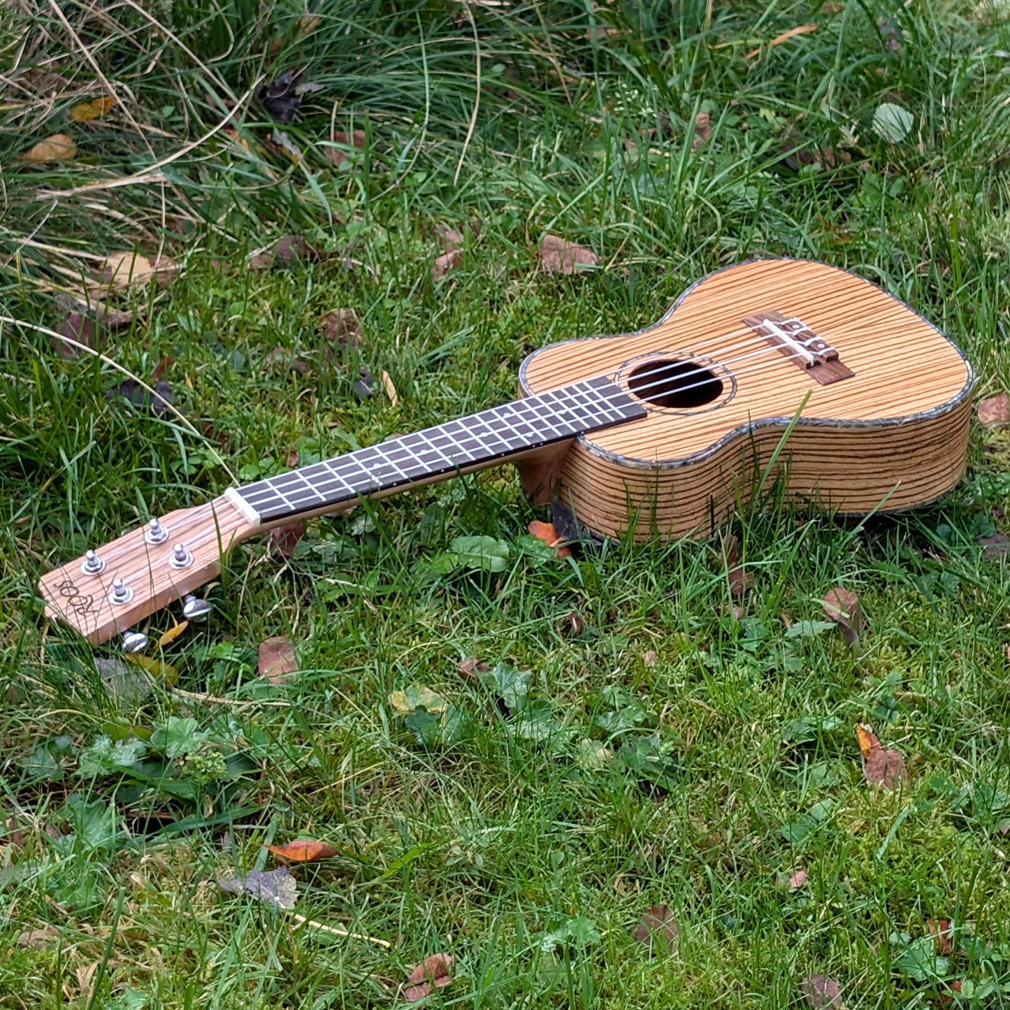 Troll - Ukulele i zebraträ