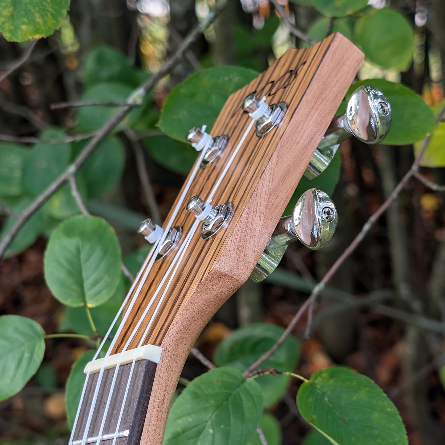 Troll - Ukulele i zebraträ