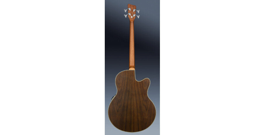 RockBass Alien Deluxe Hybrid Thinline, 4-strängad