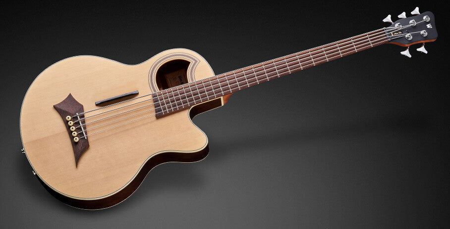 RockBass Alien Deluxe Hybrid Thinline, 5-strängad