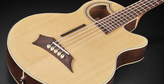 RockBass Alien Deluxe Hybrid Thinline, 5-strängad