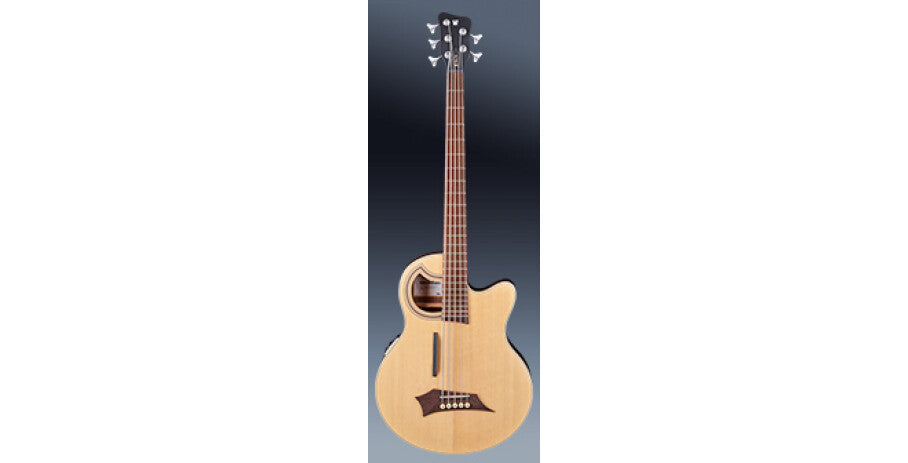 RockBass Alien Deluxe Hybrid Thinline, 5-strängad