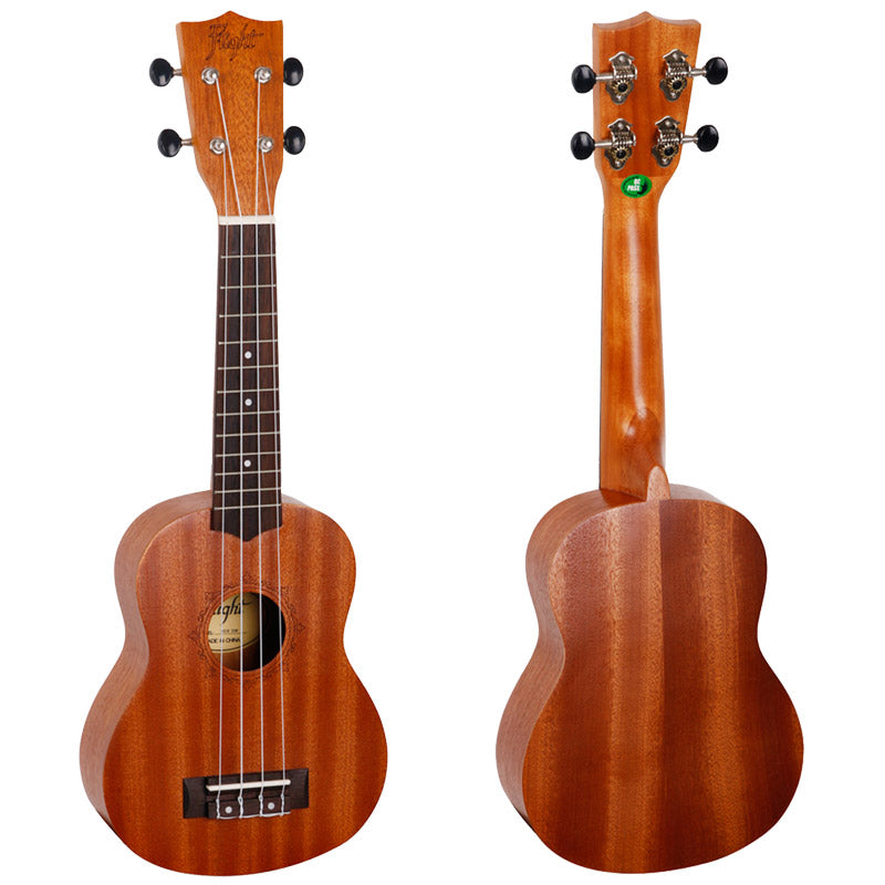 NUS310 Sopranukulele