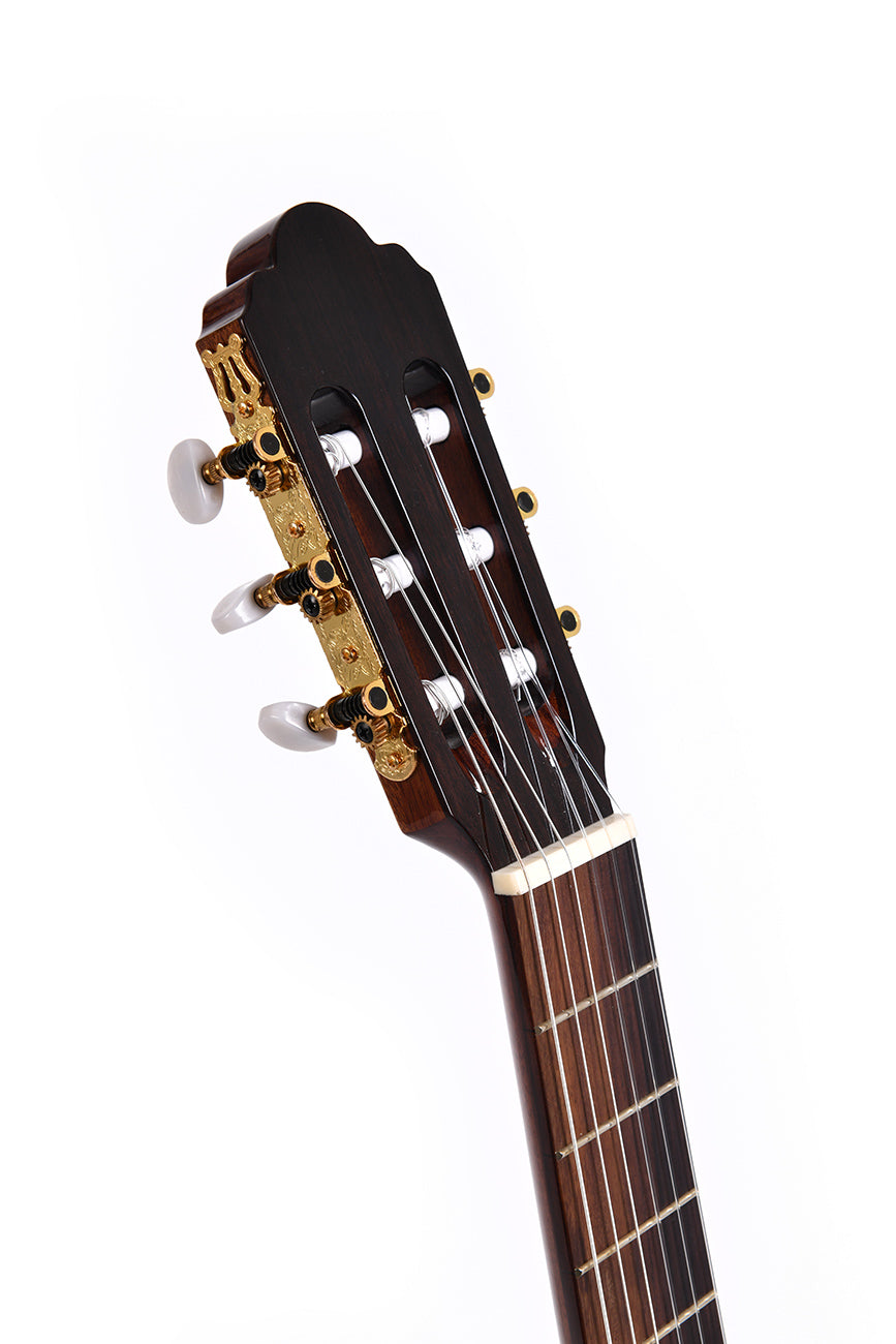 Solid sitkagran och rosewood