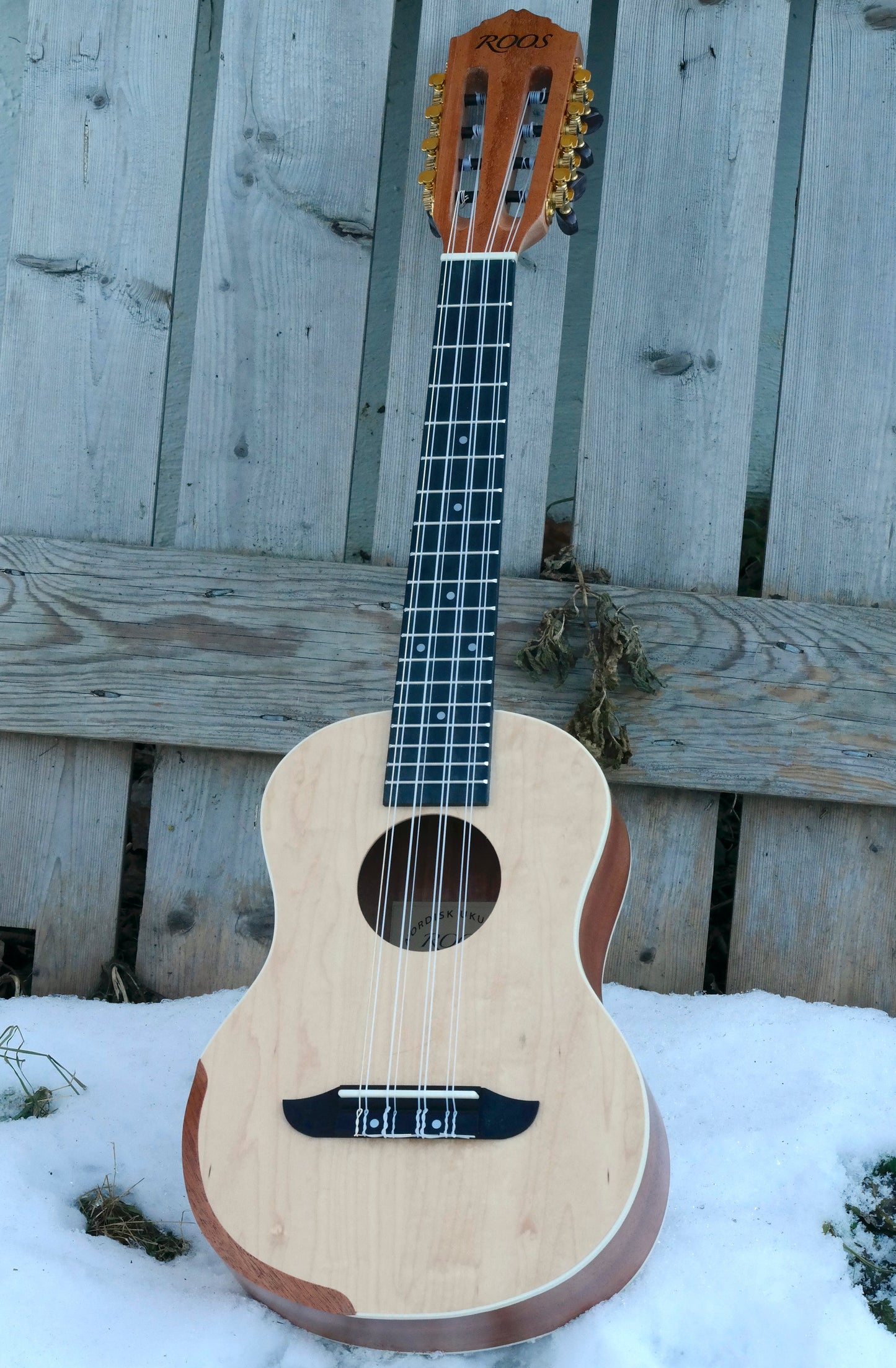 Roos Prisma T8 – Tenorukulele med 8 strängar