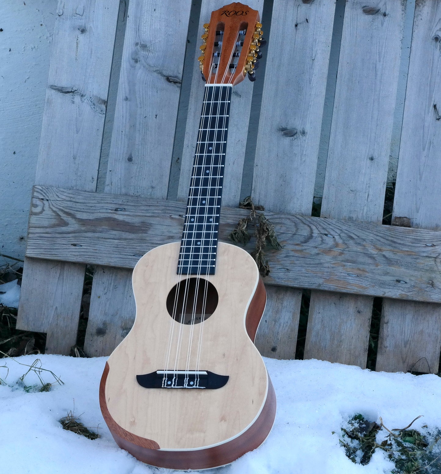 Roos Prisma T8 – Tenorukulele med 8 strängar
