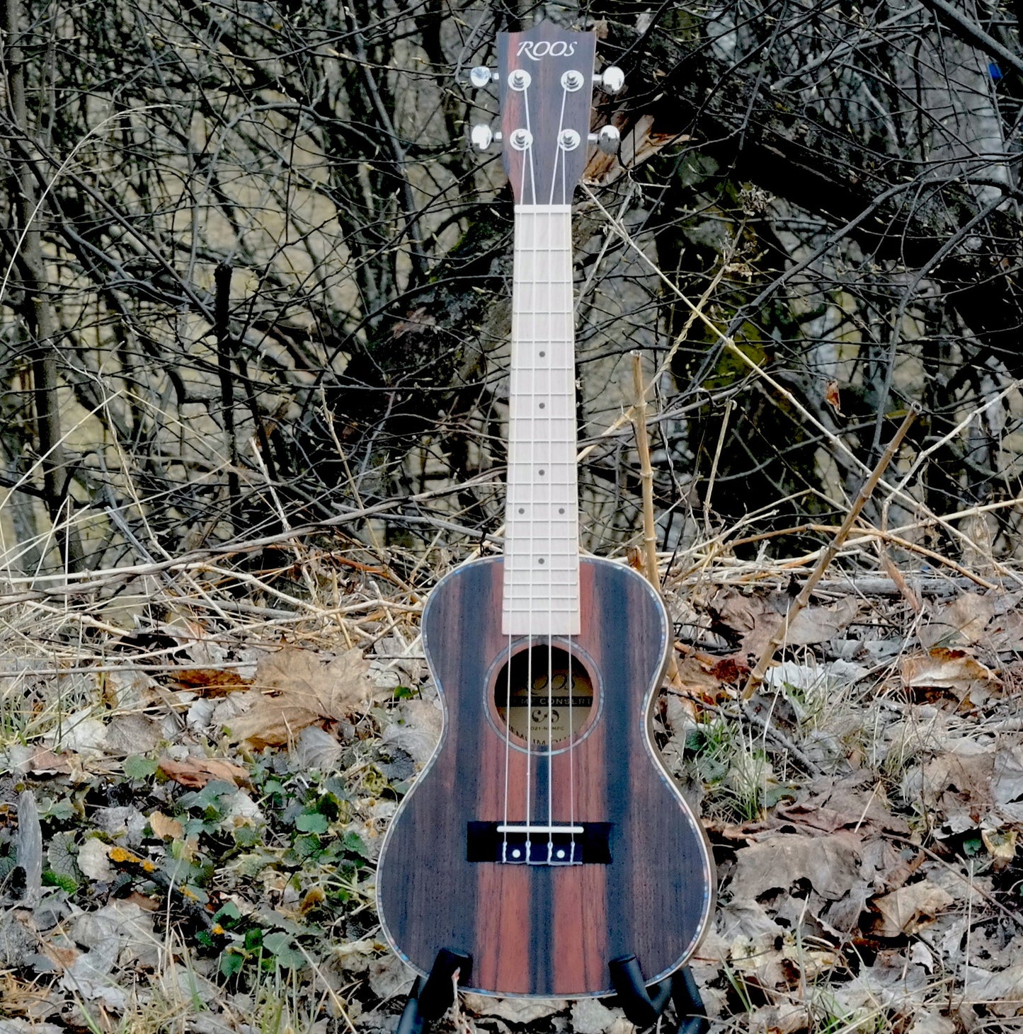 Ebony - Konsertukulele