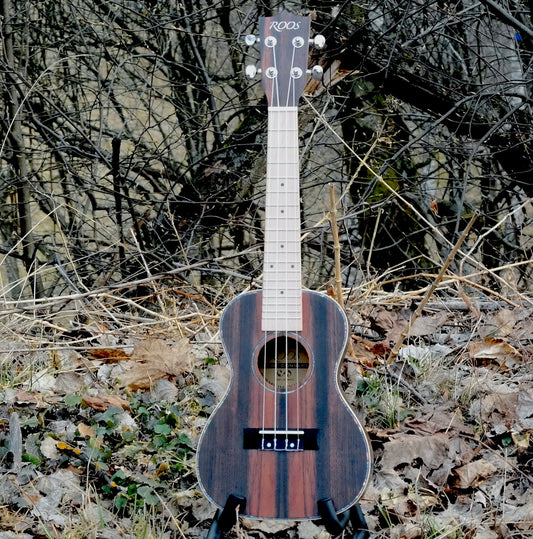 Ebony - Konsertukulele