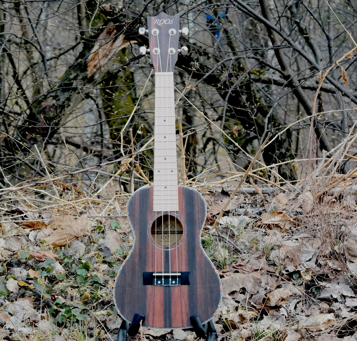 Ebony - Konsertukulele