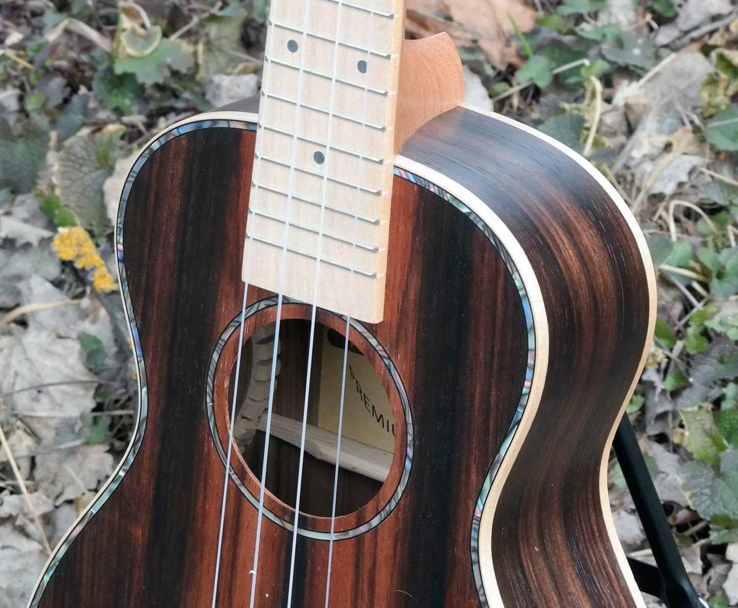 Ebony - Konsertukulele