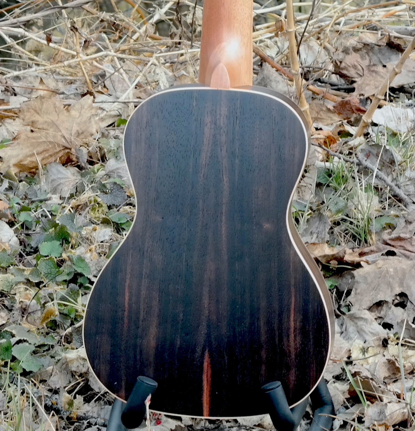 Ebony - Konsertukulele