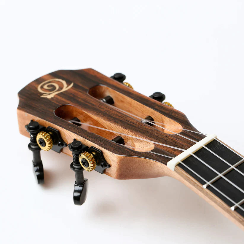 Ebony och solid gran - Konsertukulele