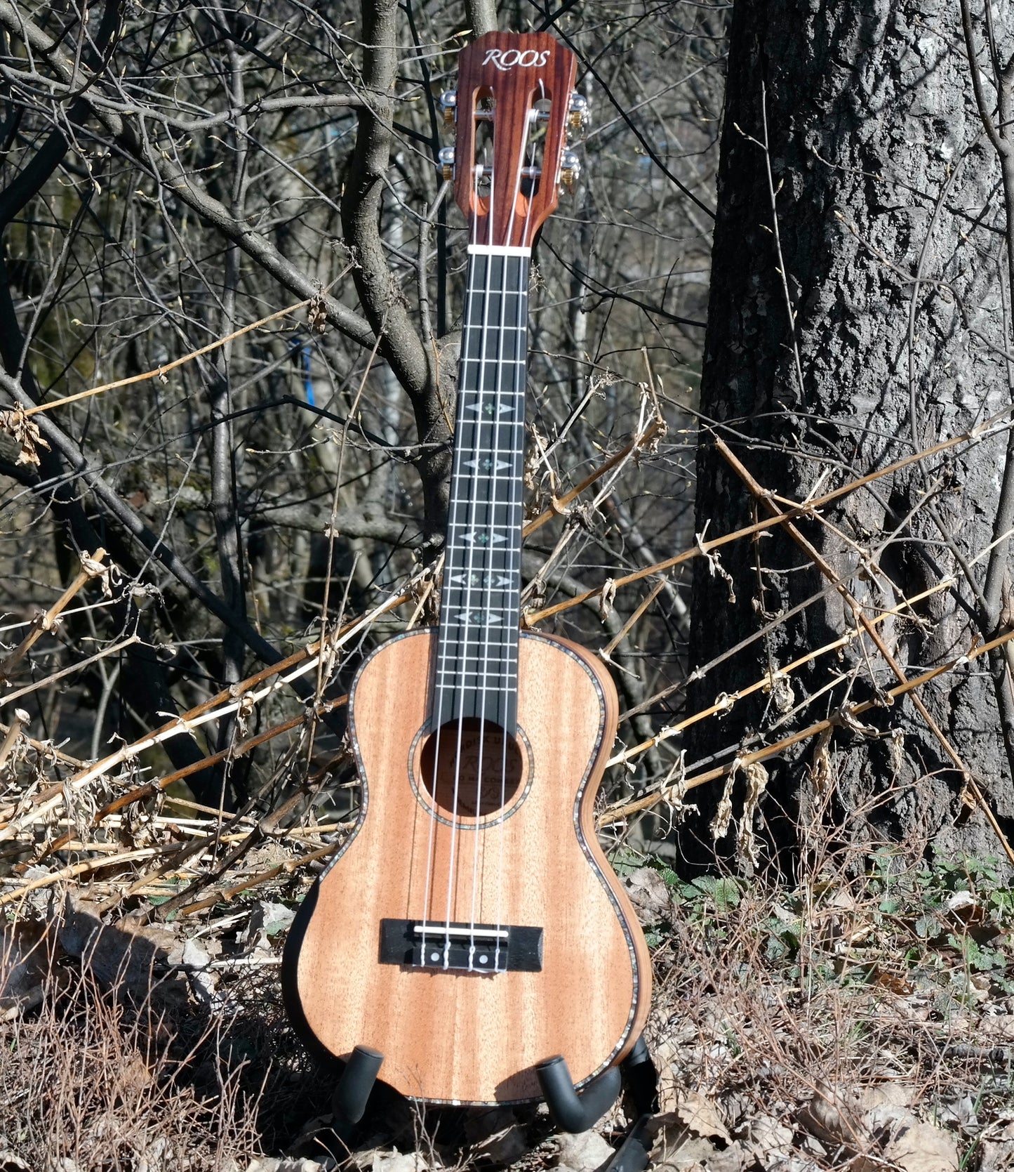 LOMA - Konsertukulele