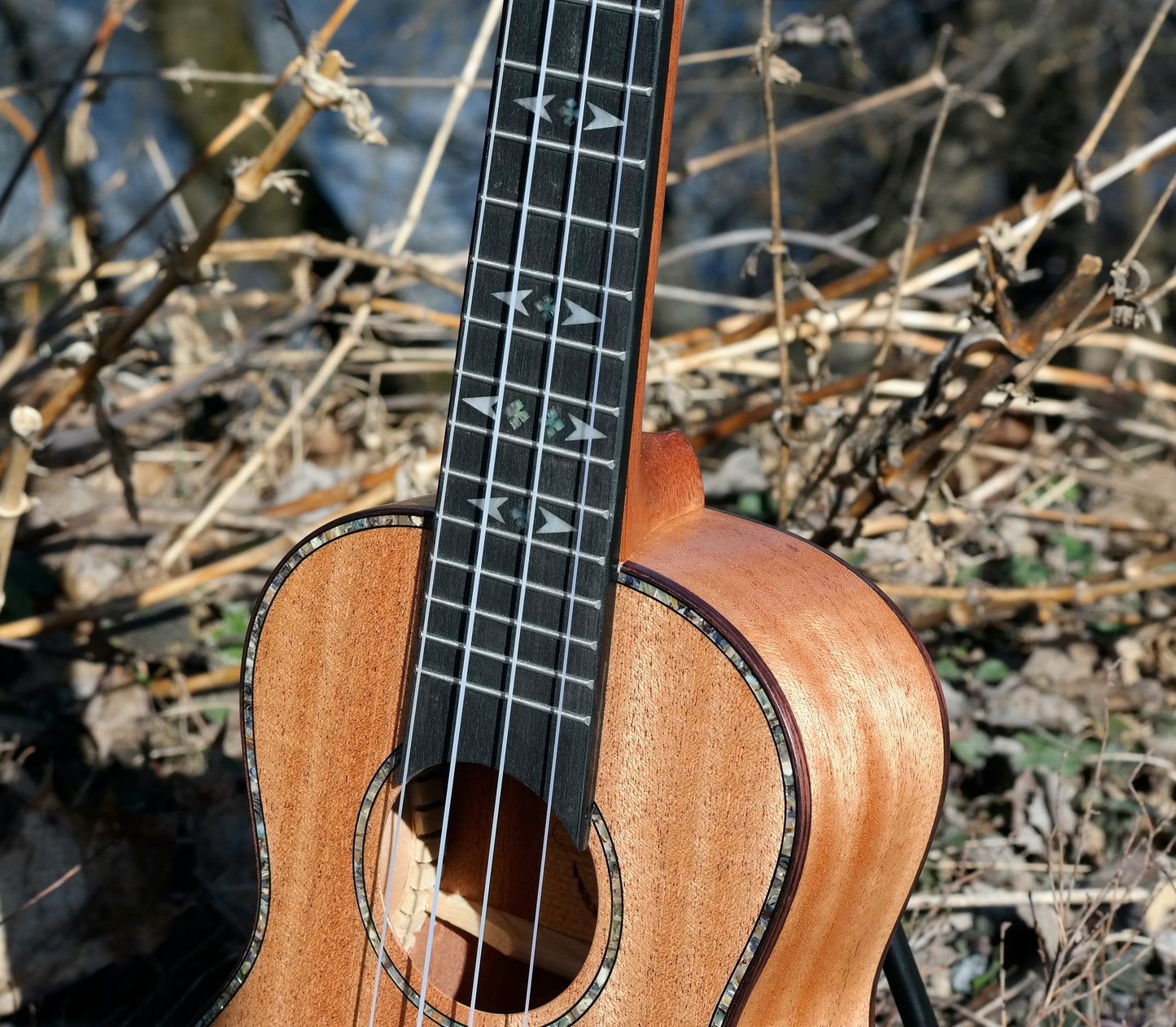 LOMA - Konsertukulele