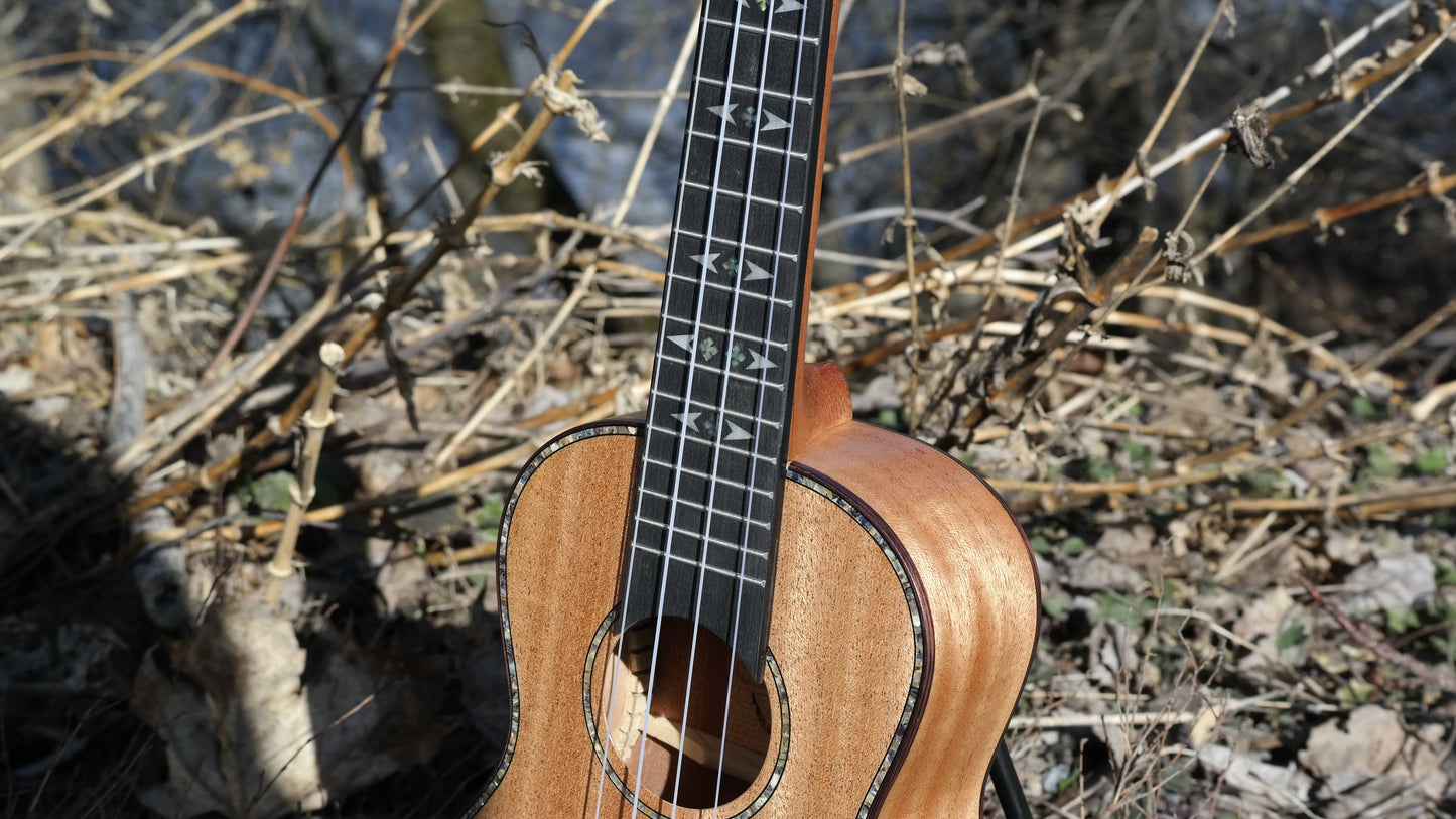LOMA - Konsertukulele