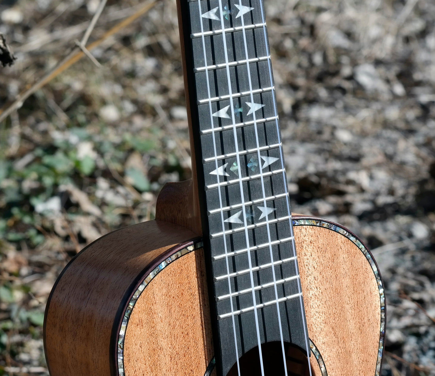 LOMA - Konsertukulele