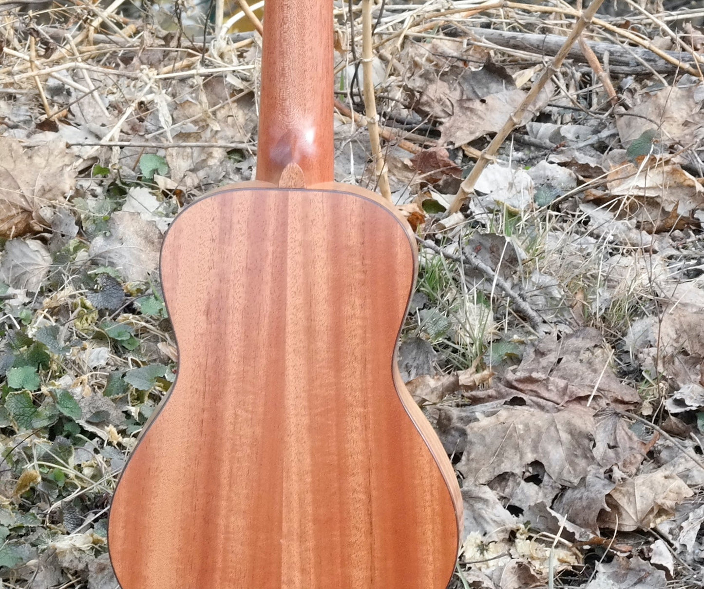 LOMA - Konsertukulele