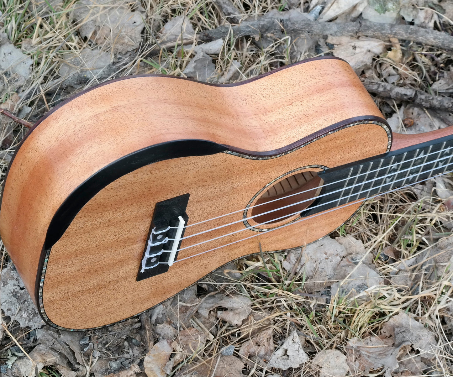LOMA - Konsertukulele