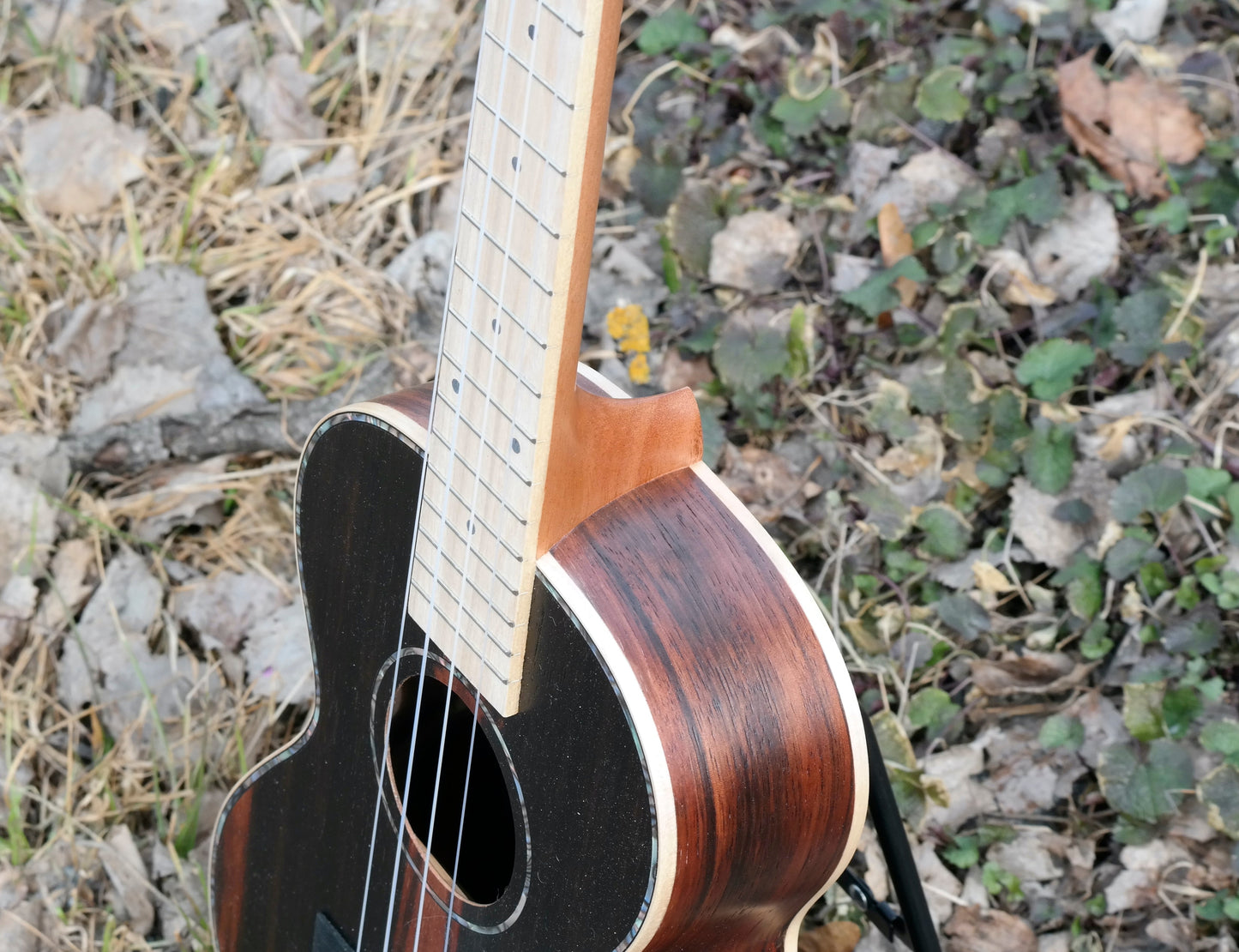 Roos Ebony - Tenorukulele