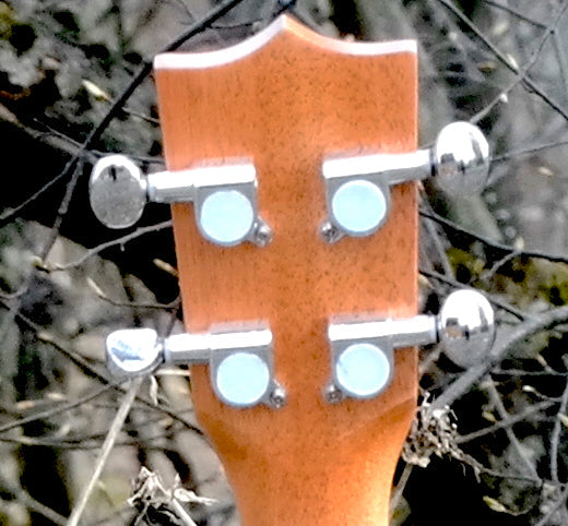 Roos Ebony - Tenorukulele