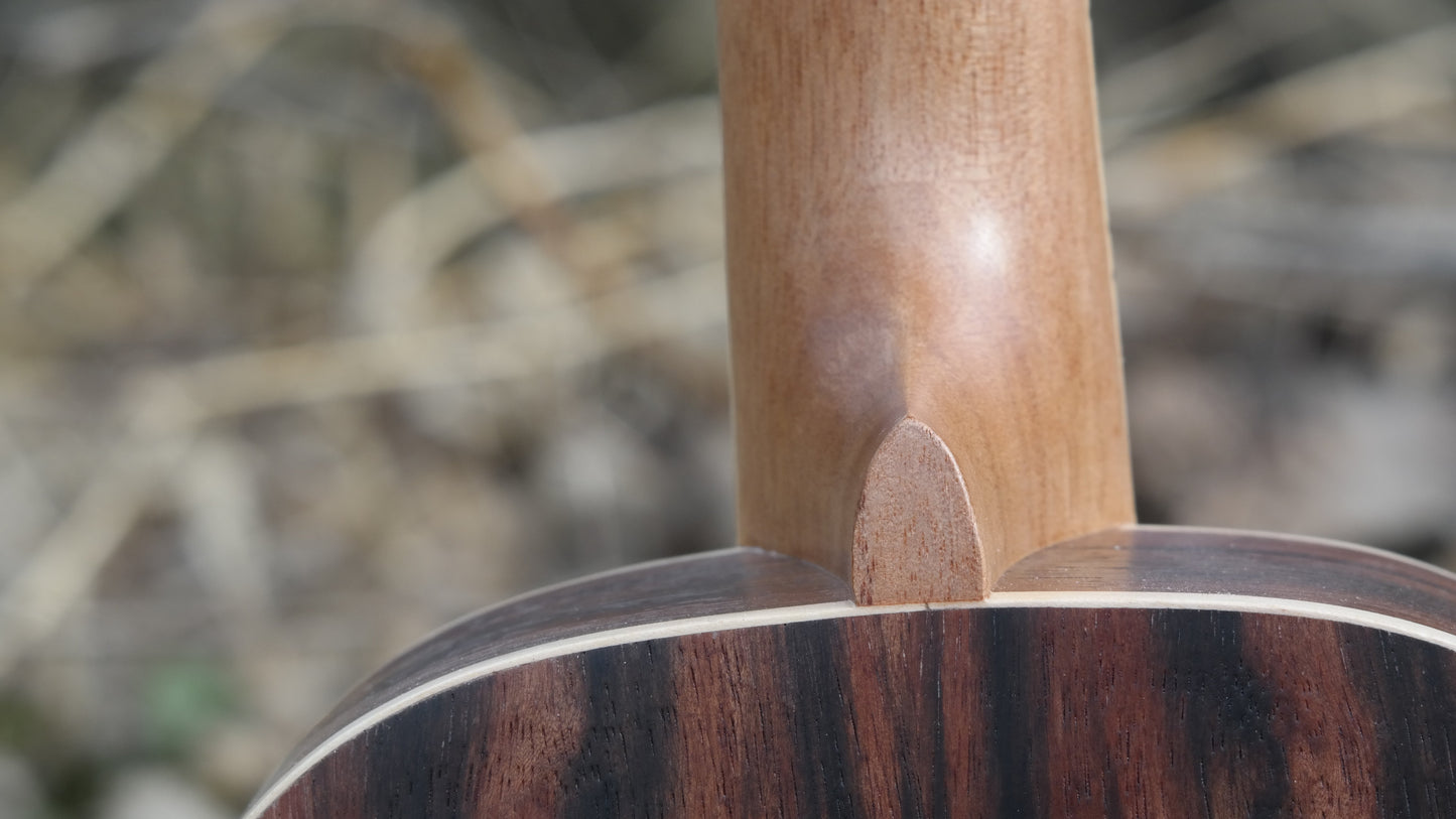Roos Ebony - Tenorukulele