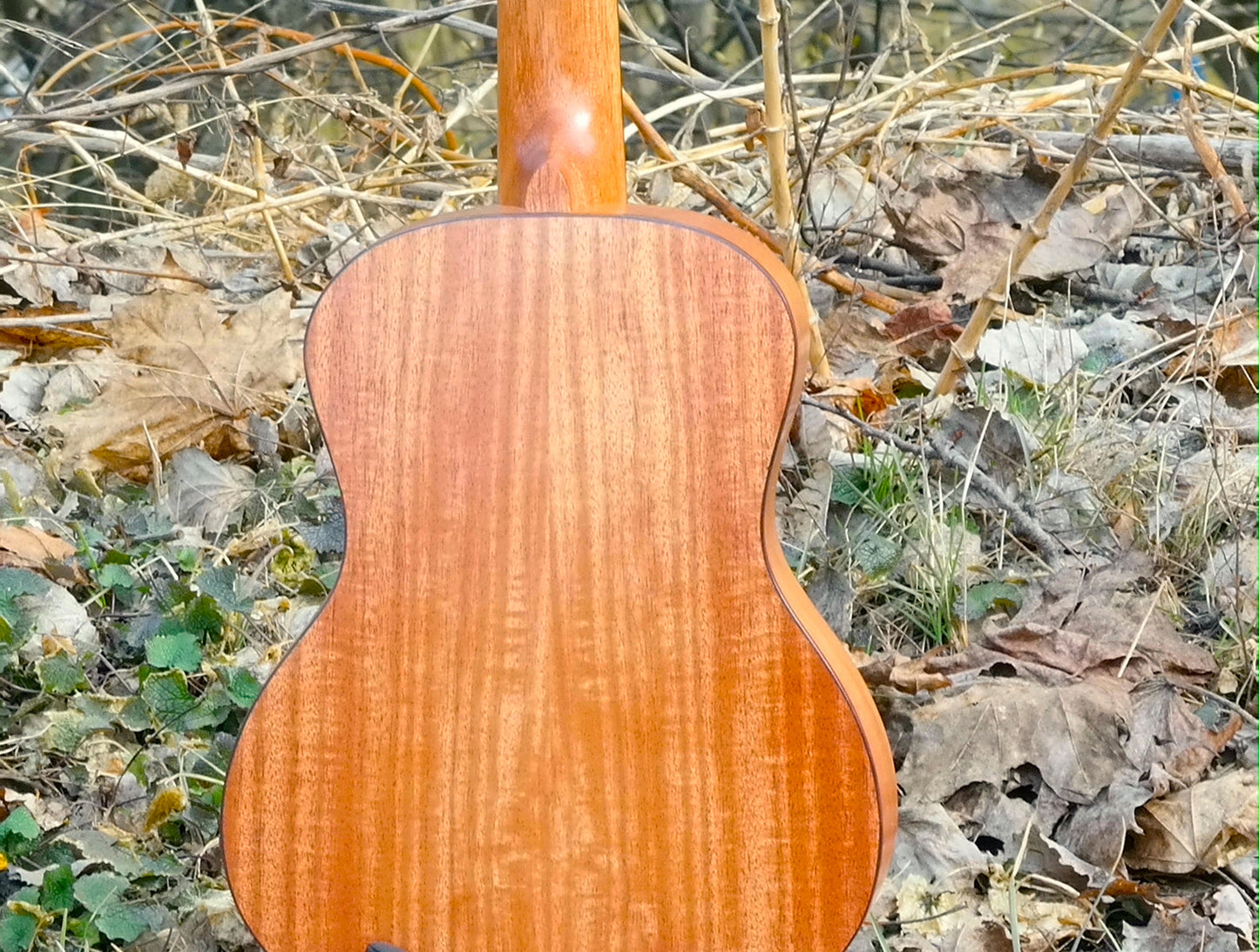 LOMA tenorukulele
